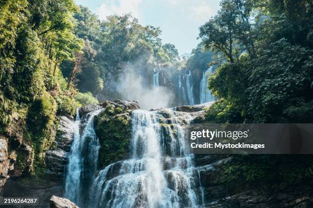cascading waterfall in lush green forest - costa rica stock pictures, royalty-free photos & images