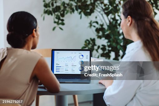 Two Analysts Examining Data Visualizations on a Laptop in a Meeting Two Analysts Examining Data Visualizations on a Laptop in a Meeting