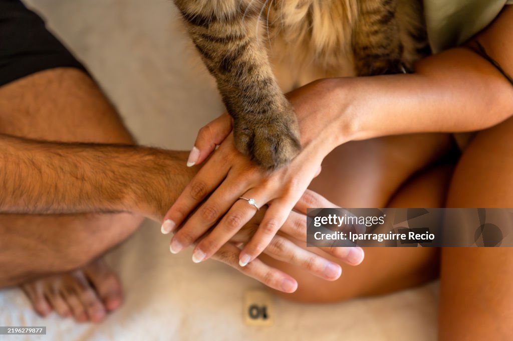 Cat paw joining hands with engagement ring