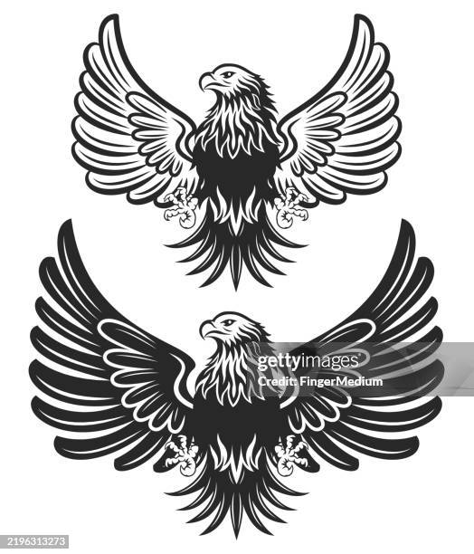 illustrations, cliparts, dessins animés et icônes de falcon emblem vector illustration - falcon tattoos