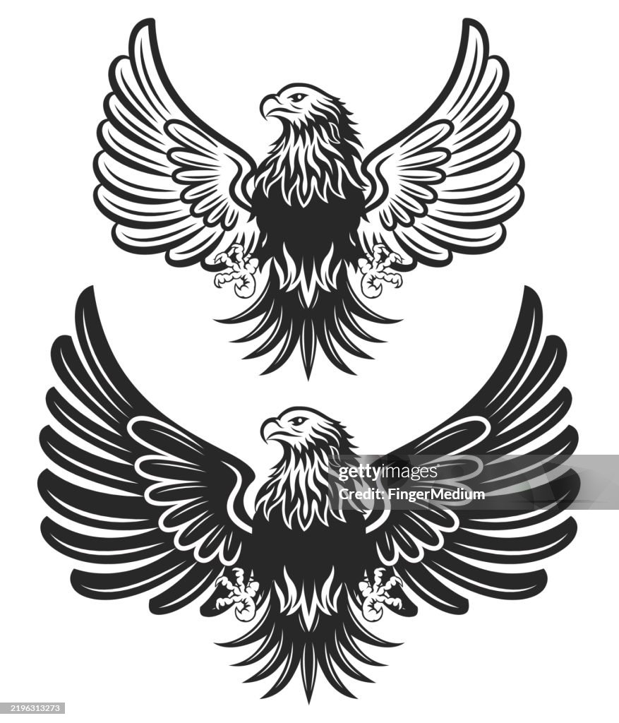 Silverlised Falcon Emblem Falcon Emblem Vector Illustration High-Res Vector Graphic - Getty Images