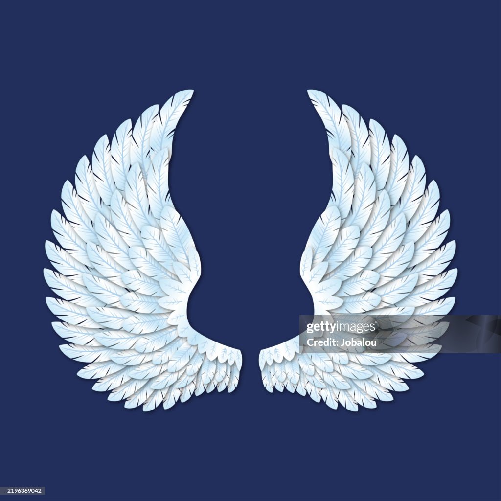 Pair of Beautiful Angel Wings isolated on Dark Blue Background