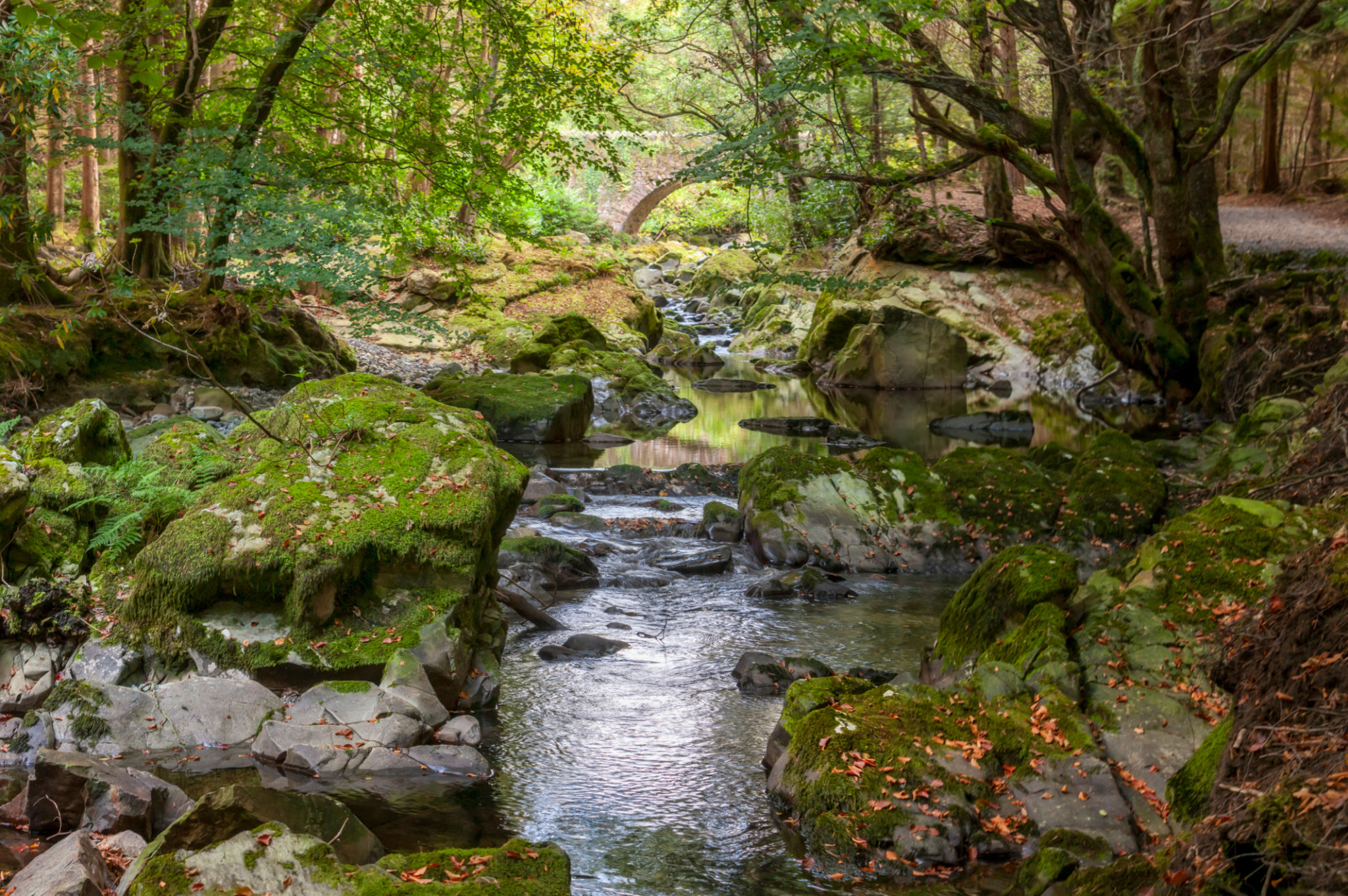 river forest park