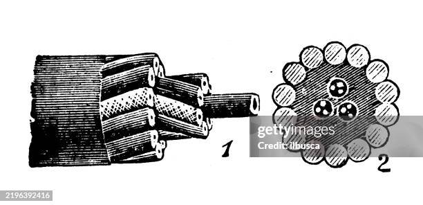 ilustraciones, imágenes clip art, dibujos animados e iconos de stock de electric cable - cable-de-acero