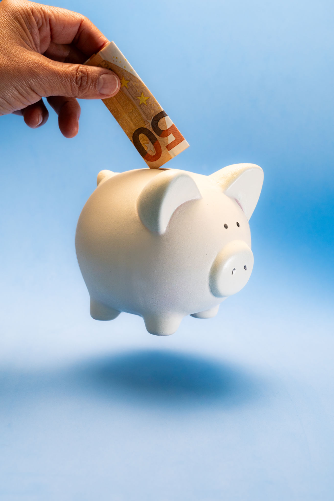 venture capital investors