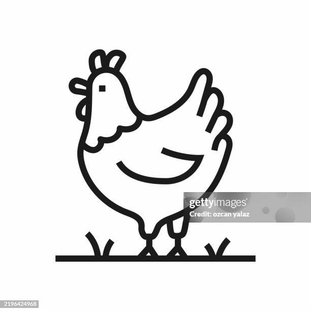 farming and agriculture related line icons set. editable stroke. - chicken farm stock illustrations