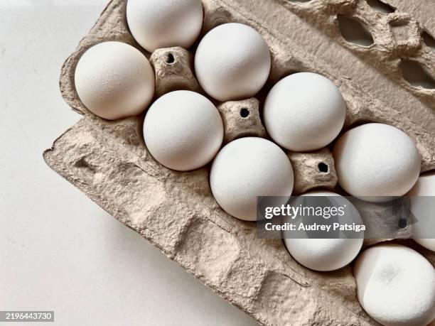 carton of fresh eggs - ovo de animal imagens e fotografias de stock