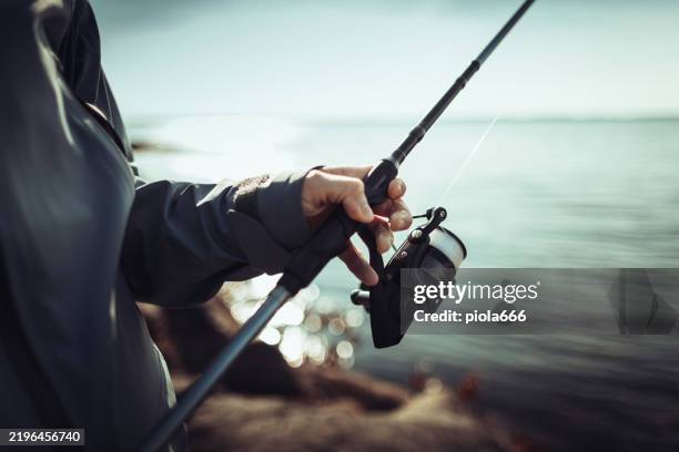 woman spinning fishing in the sea with a rod, from the rocks - bergen bildbanksfoton och bilder