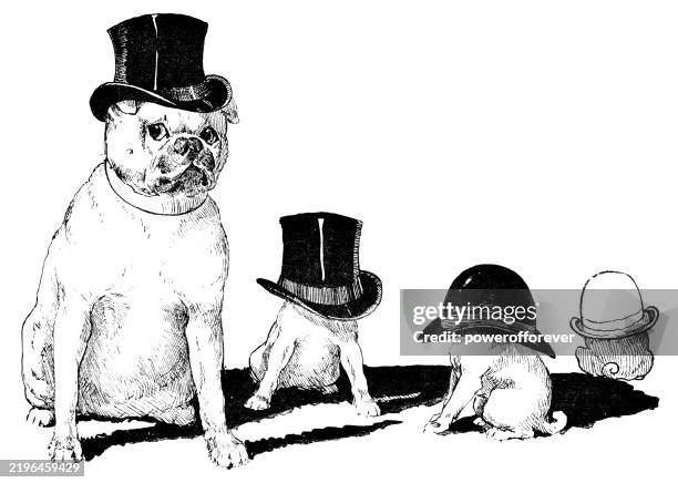 group of dogs wearing hats - 19th century - large dog stock illustrations