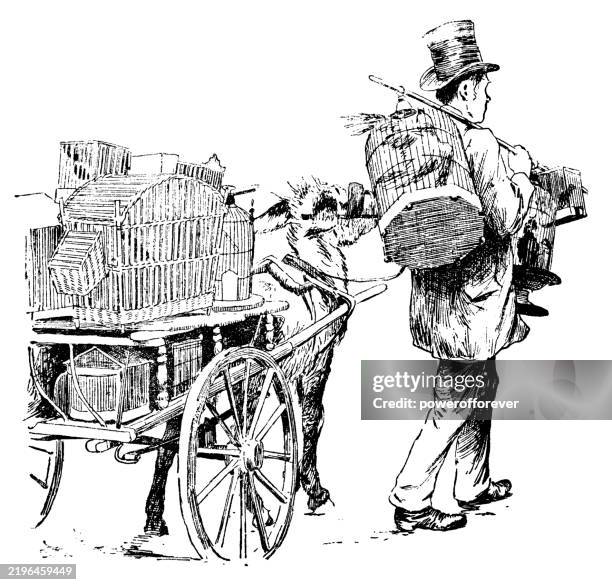 victorian exotic bird peddler - 19th century - stall stock illustrations