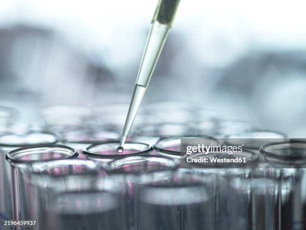 extraction of samples from test tube using pipette in laboratory - equipo de laboratorio fotografías e imágenes de stock