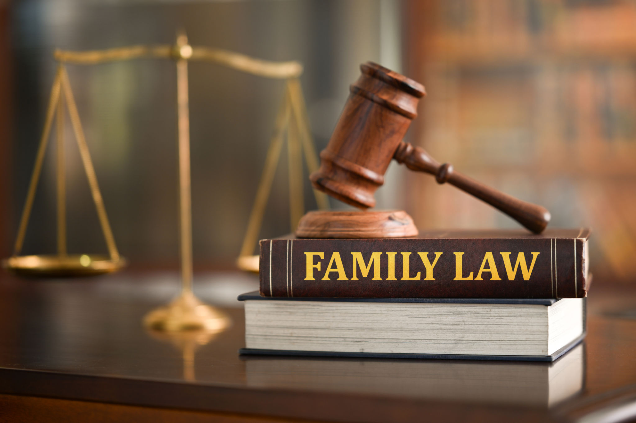 family law books