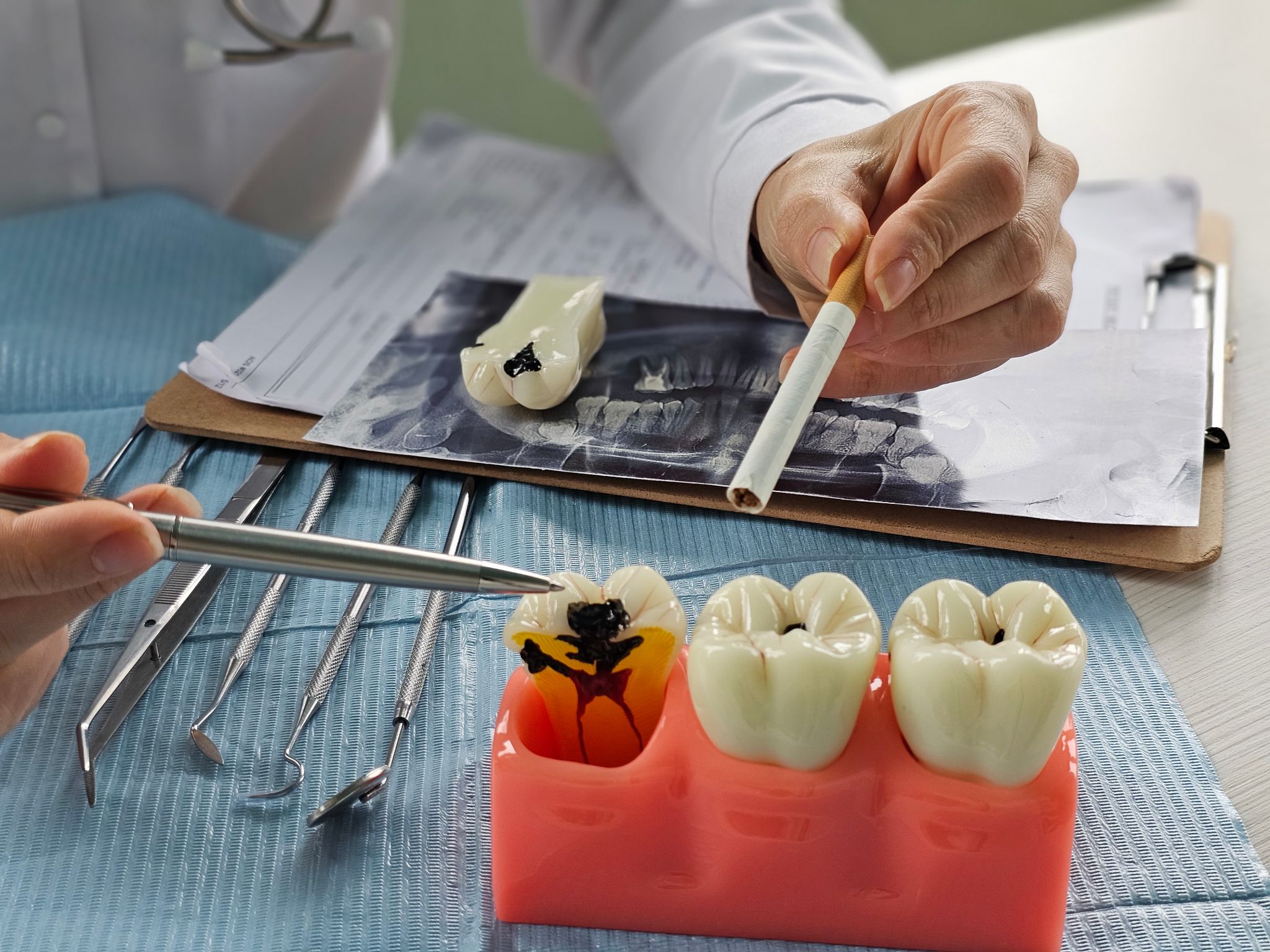 dentist qualifications