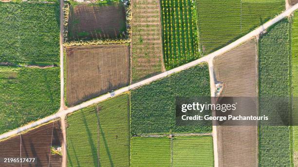 top down aerial view of diverse agricultural fields - campo arado fotografías e imágenes de stock