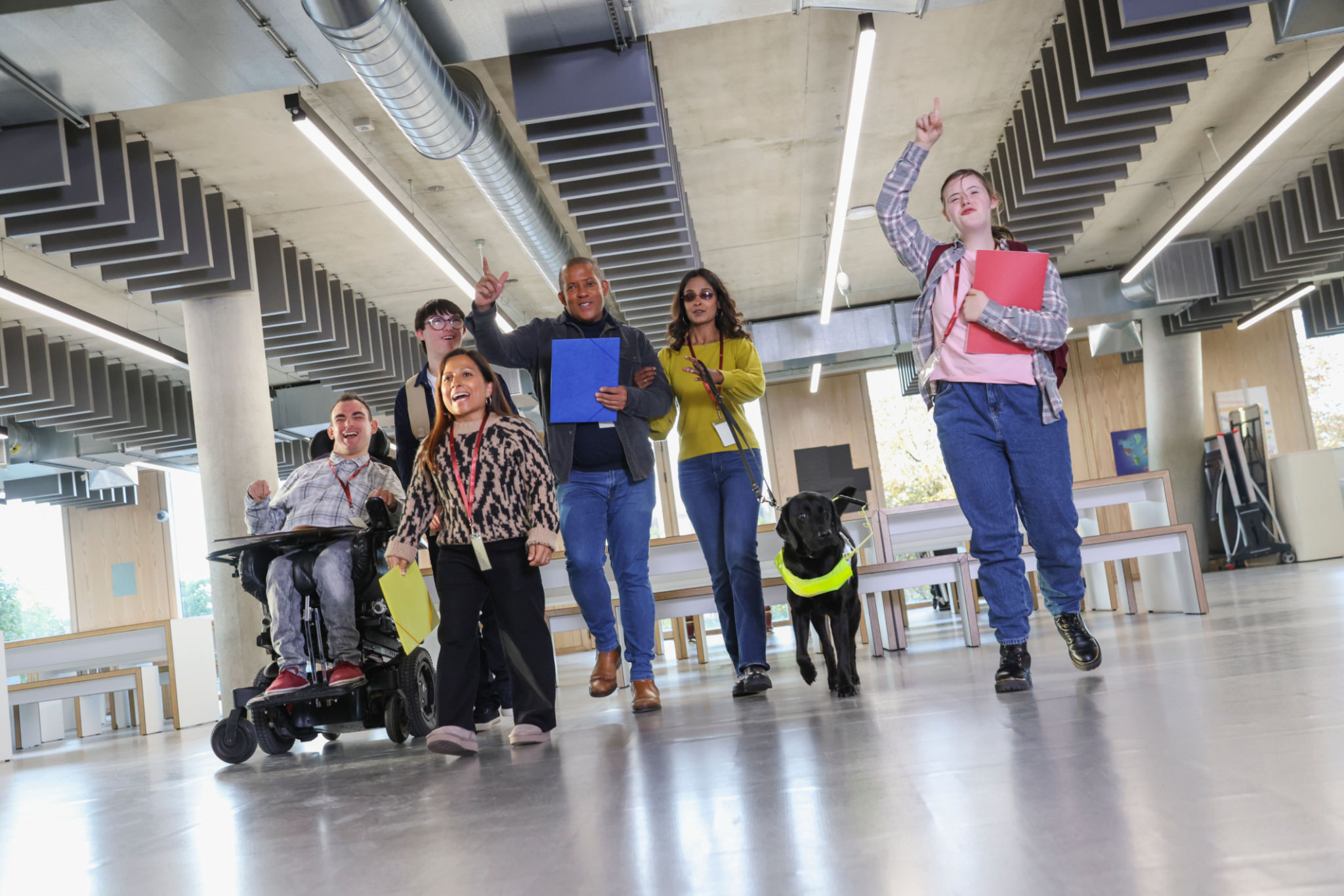 service dog public