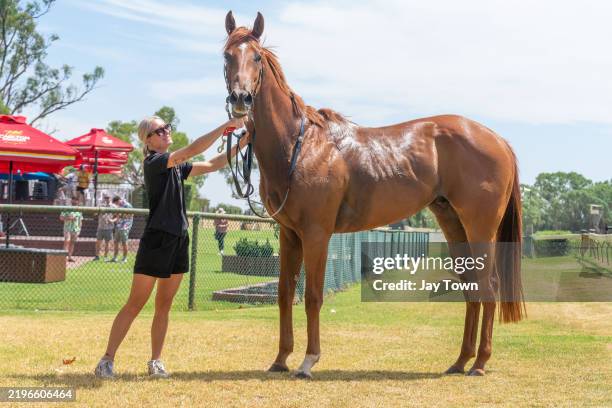 Amber Star in the Mounting Yard after winning the Lakeside Conveyancing Maiden Plate at Benalla Racecourse on February 02, 2025 in Benalla, Australia.
