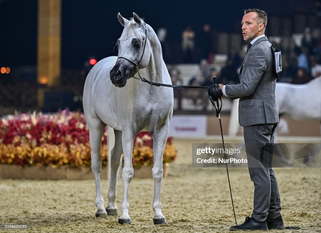 Katara International Arabian Horse Festival (KIAHF) 2025