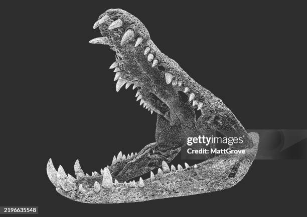 stockillustraties, clipart, cartoons en iconen met crocodile skull aligator - krokodillenfamilie