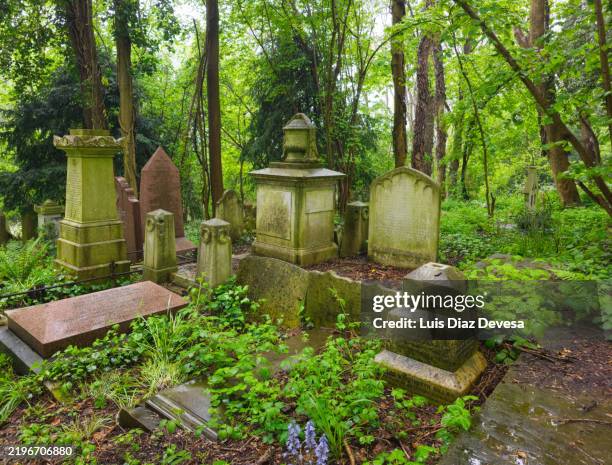 Maddingley Cemetery 2,636 Victorian Cemetery Stock Photos, High-Res Pictures, and Images ...
