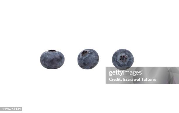 three blueberries are shown on a white background - blueberry stock pictures, royalty-free photos & images