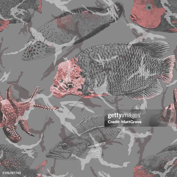 chinese fish cat fish cardinal fish grouper fish carp - carp stock illustrations