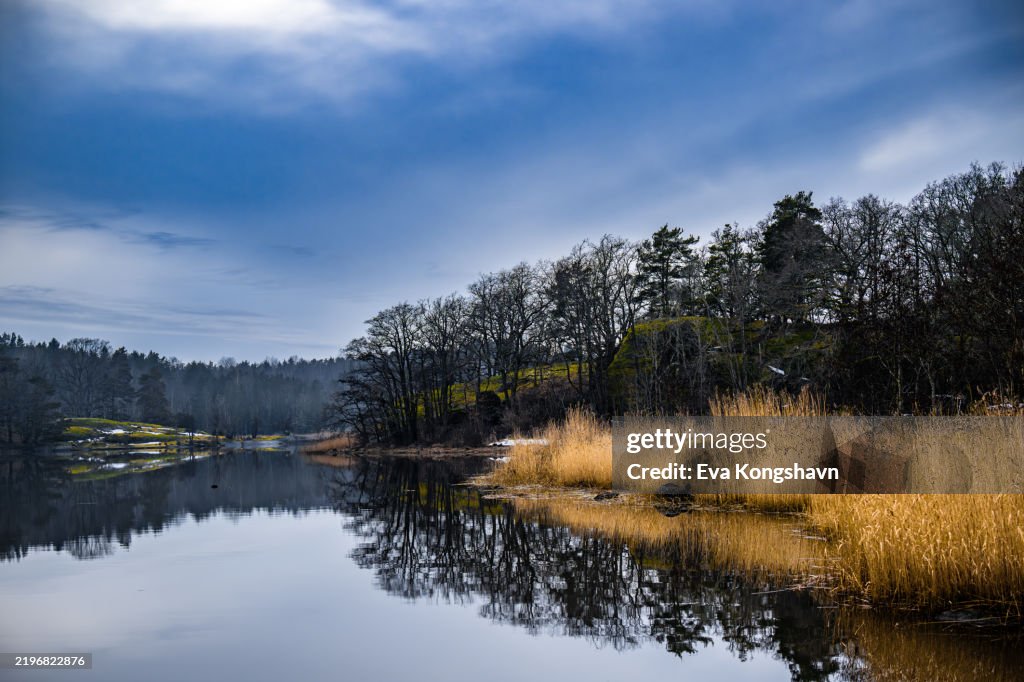 The bay is filled with straws and makes nice reflections in the very calm water