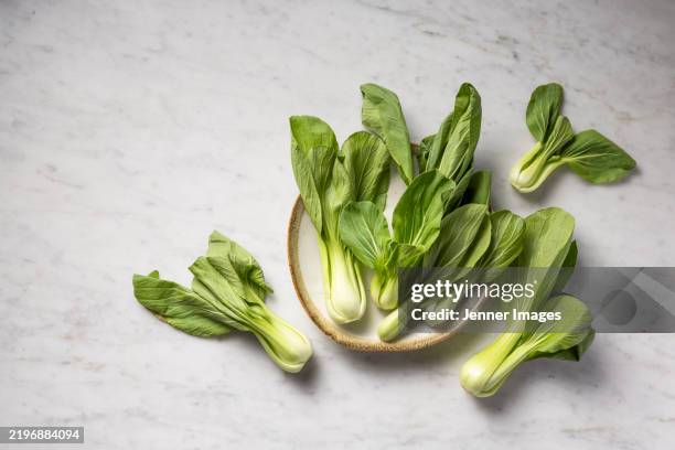 fresh bok choy, or baby bok choy. super food vegetables - bok choy stock pictures, royalty-free photos & images