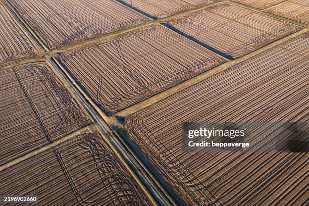 aerial view of rice fields in winter, piedmont, italy - plowed field stock pictures, royalty-free photos & images