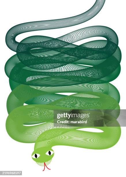 Snake Vector Abstract Cute Curled Abstract Snake High-Res Vector Graphic - Getty Images