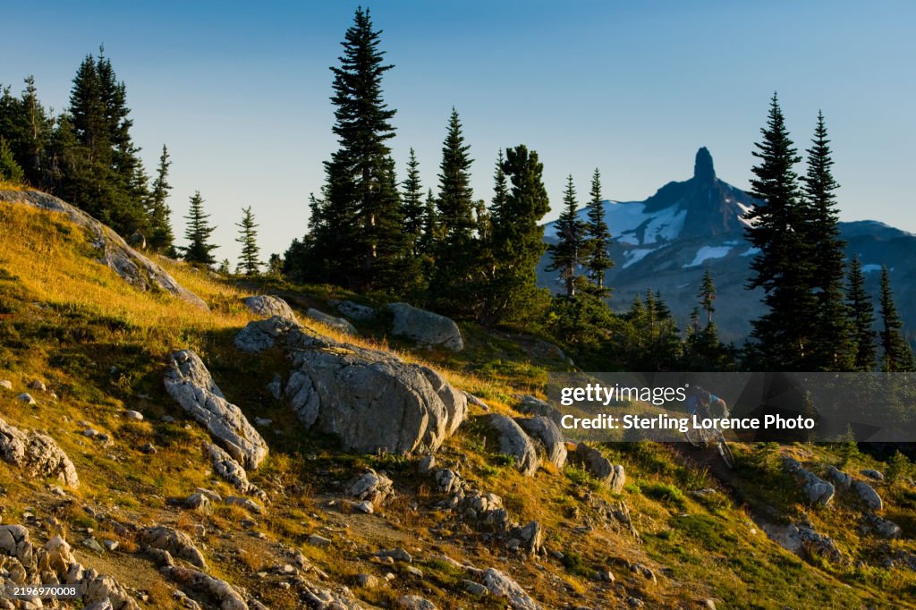 Mountain biking singletrack trails in Whistler, British Columbia