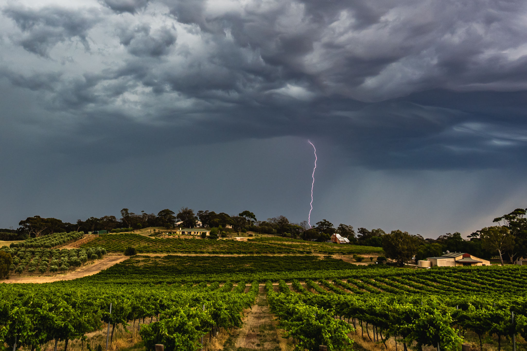 barossa valley weather