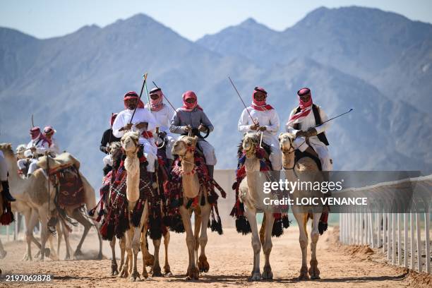 Alula Camel Ride 1,233 Camel Jockey Stock Photos, High-Res Pictures, and Images - Getty ...