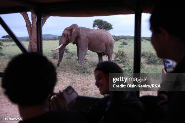 Players watch an Elephant on Safari in Kruger National Park during practice prior to the Africa Amateur Championship at Leopard Creek Country Club on...