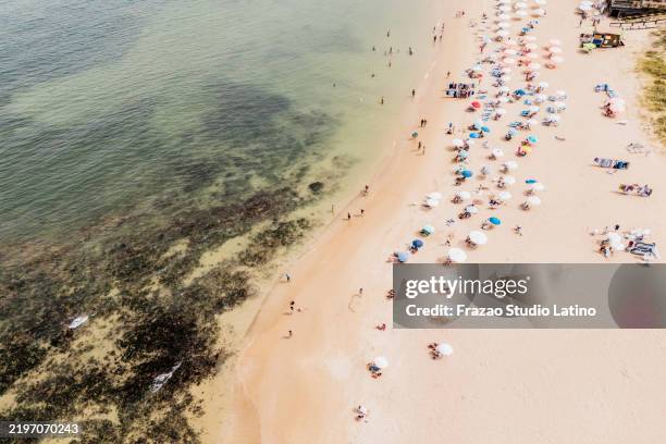 aerial view of playa mansa on punta del este, uruguay - uruguay stock pictures, royalty-free photos & images