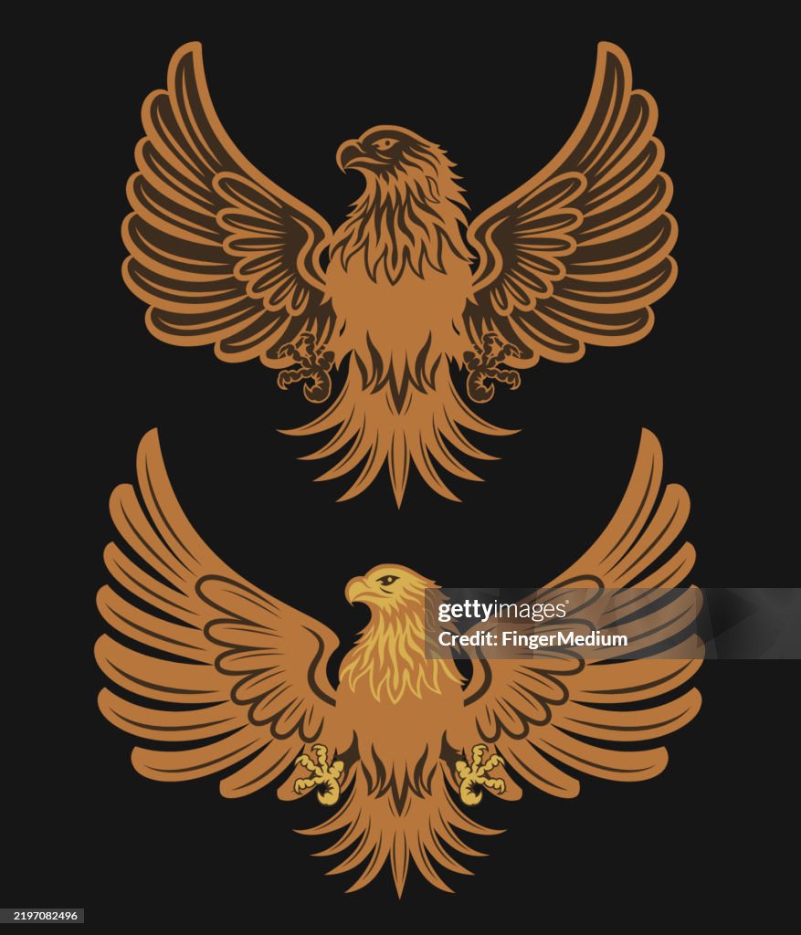 Silverlised Falcon Emblem Falcon Emblem Set High-Res Vector Graphic - Getty Images