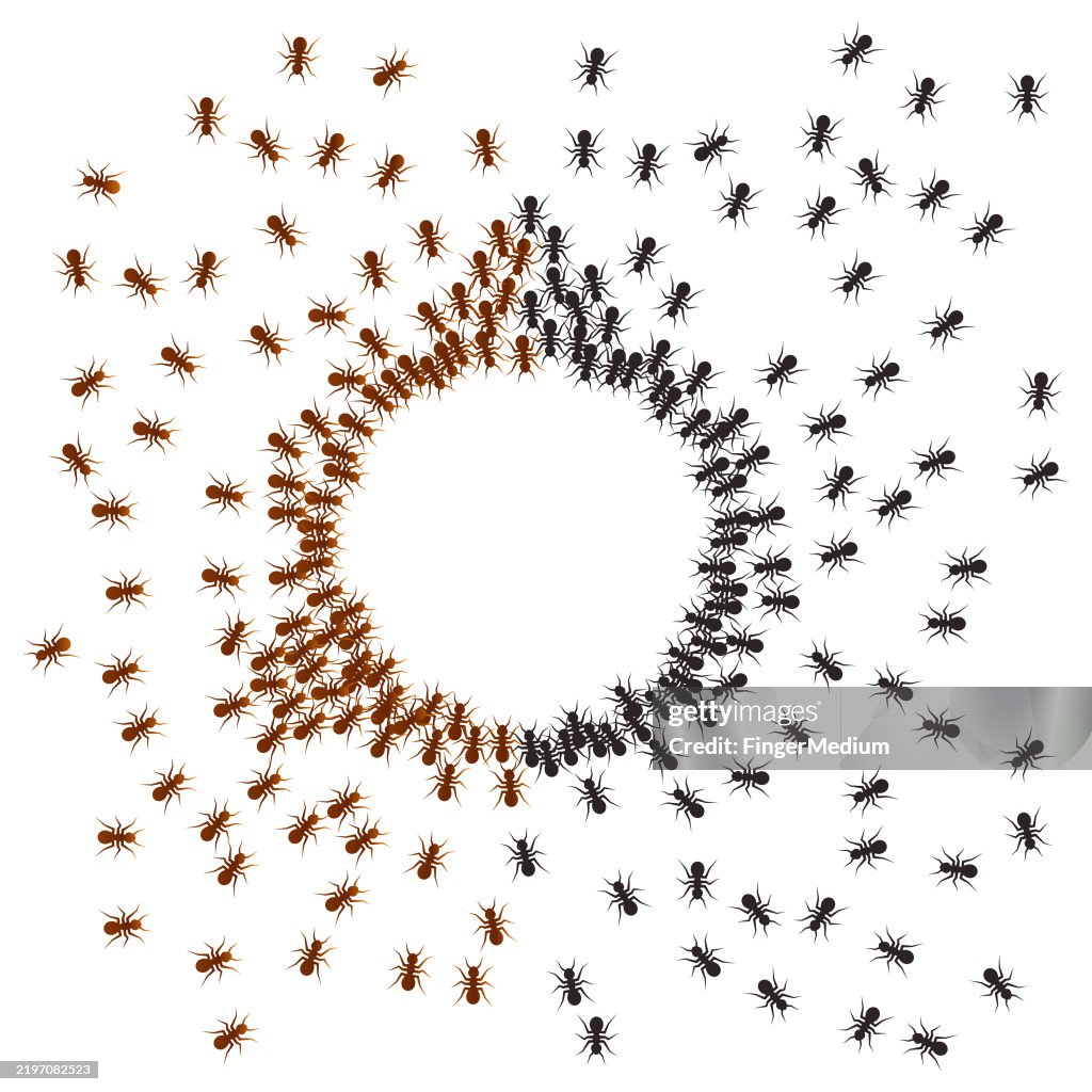 Ants around an empty circle vector illustration