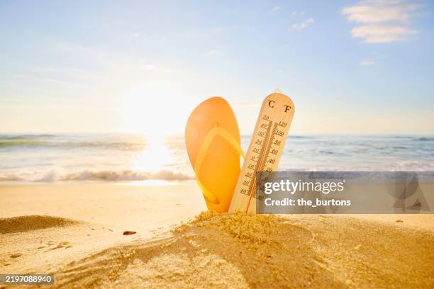 thermometer and flip-flop on the beach against sea and sunset - feber bildbanksfoton och bilder