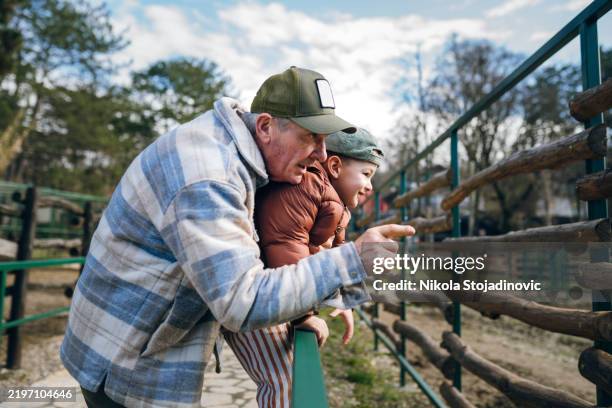 grandpa took me too the zoo - dierentuin stockfoto's en -beelden