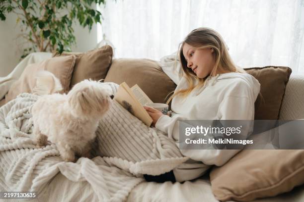 cozy afternoon relaxation with a book and a pet companion - cozy winter stock pictures, royalty-free photos & images