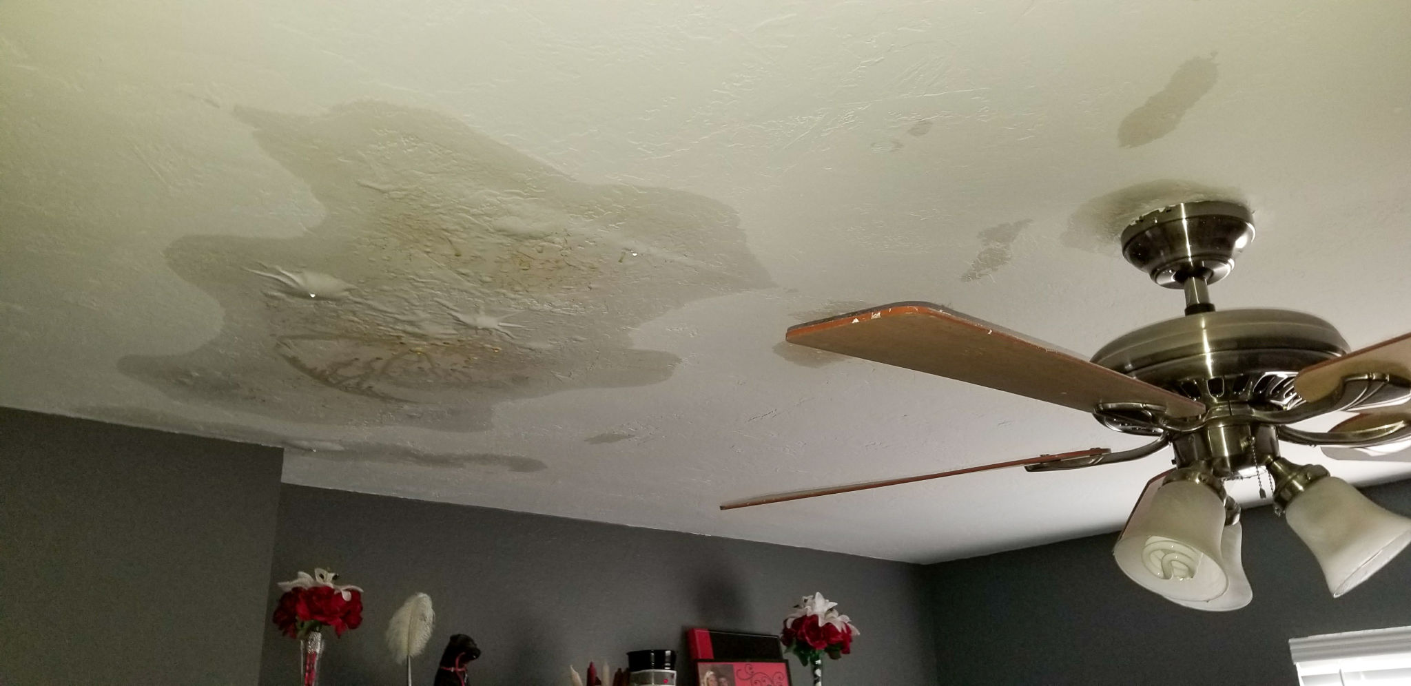 water damage repair