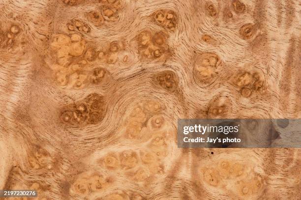 empty wood table topview, counter - presentation folder template stock pictures, royalty-free photos & images