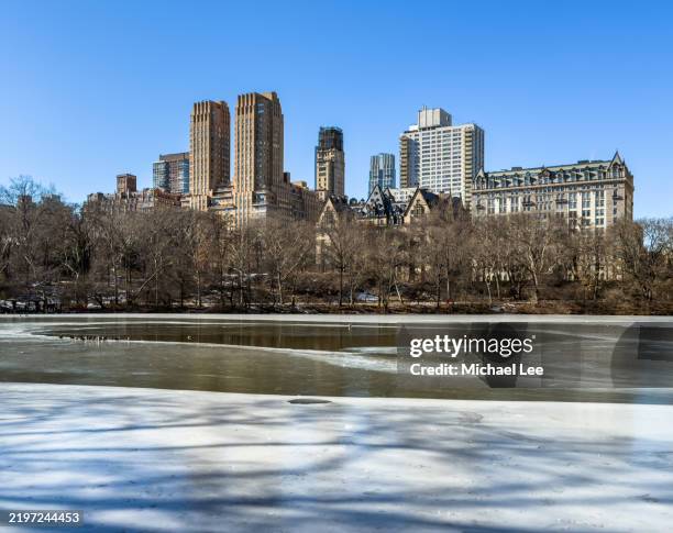 frozen lake and central park west - majestic apartments stock pictures, royalty-free photos & images