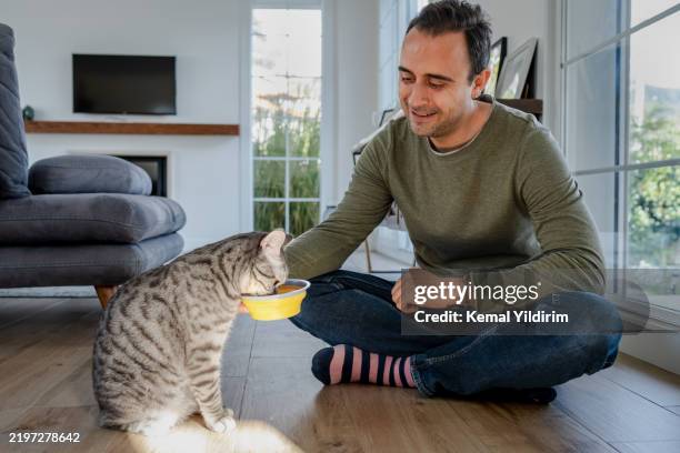 millennial man feeding his cat at home. - camera point of view stock pictures, royalty-free photos & images