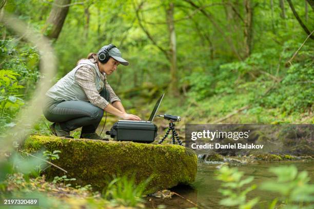 ecología de campo. monitorización de la biodiversidad basada en bioacústica e ia. - biodiversidad fotografías e imágenes de stock