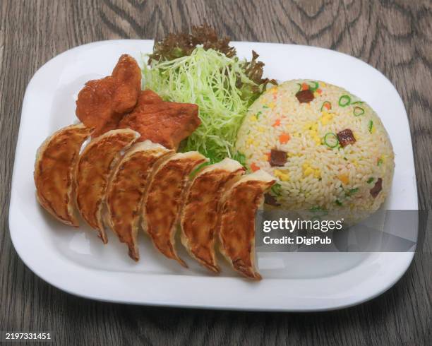 chūka food model: chahan, gyoza, karaage & salad, - paniertes hähnchen stock-fotos und bilder