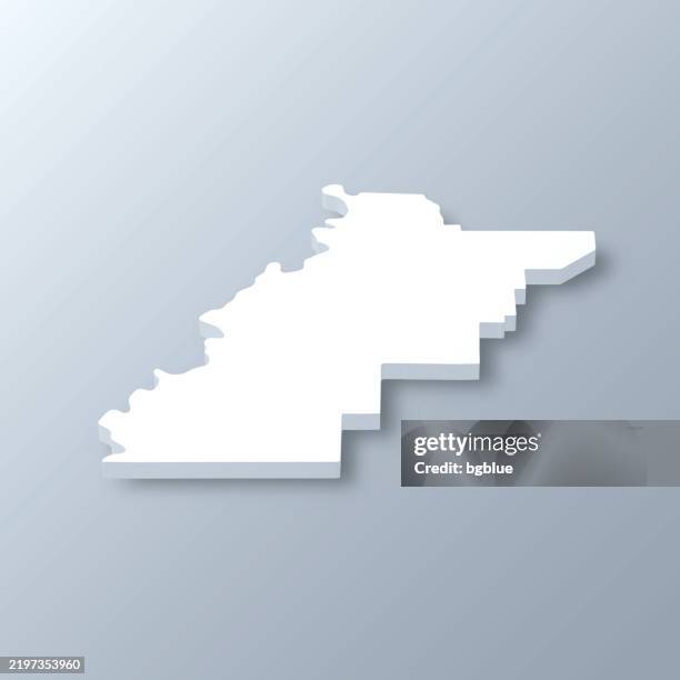 talladega county, alabama. 3d map on gray background - talladega alabama stock illustrations