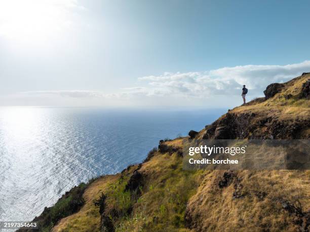 exploring madeira island - rocky coastline stock pictures, royalty-free photos & images