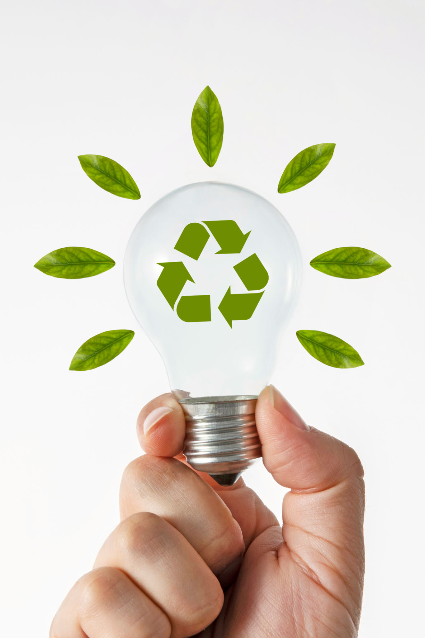 reparos sustentáveis