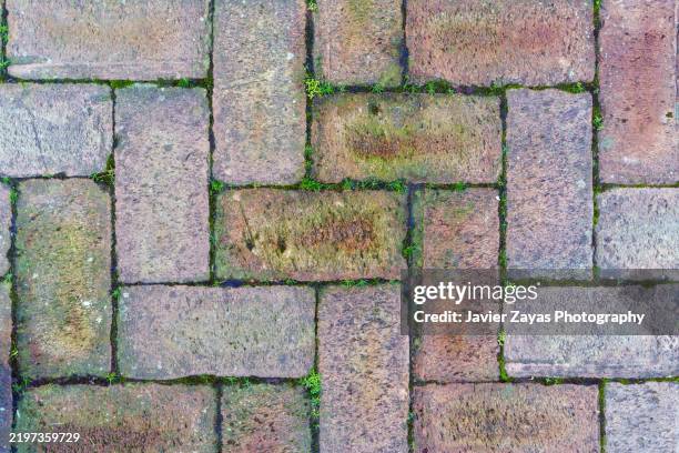 herringbone pattern of terracotta bricks with grass growing in between - brick path stock pictures, royalty-free photos & images