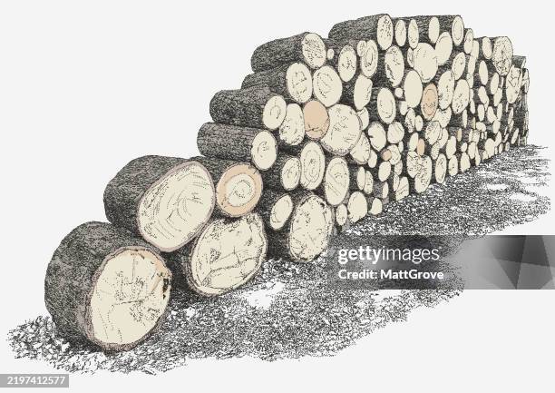 Log Stack Cut Timber High-Res Vector Graphic - Getty Images